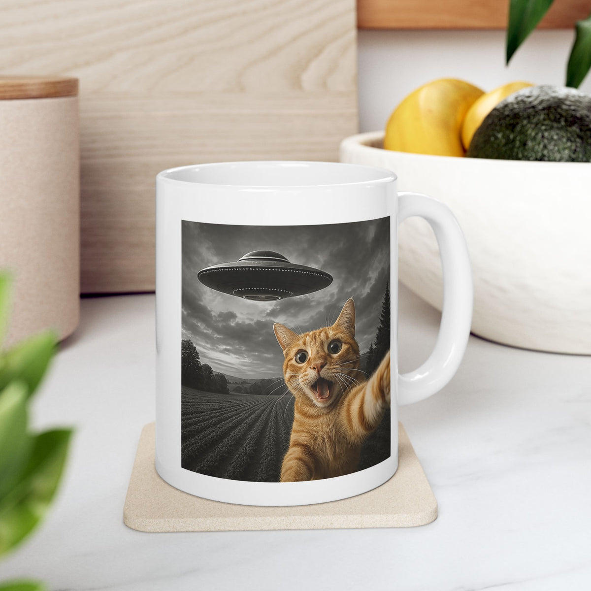 Cat Selfie With Alien UFO Mug