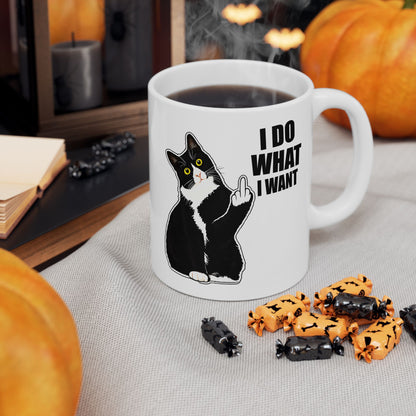 I Do What I Want Mug