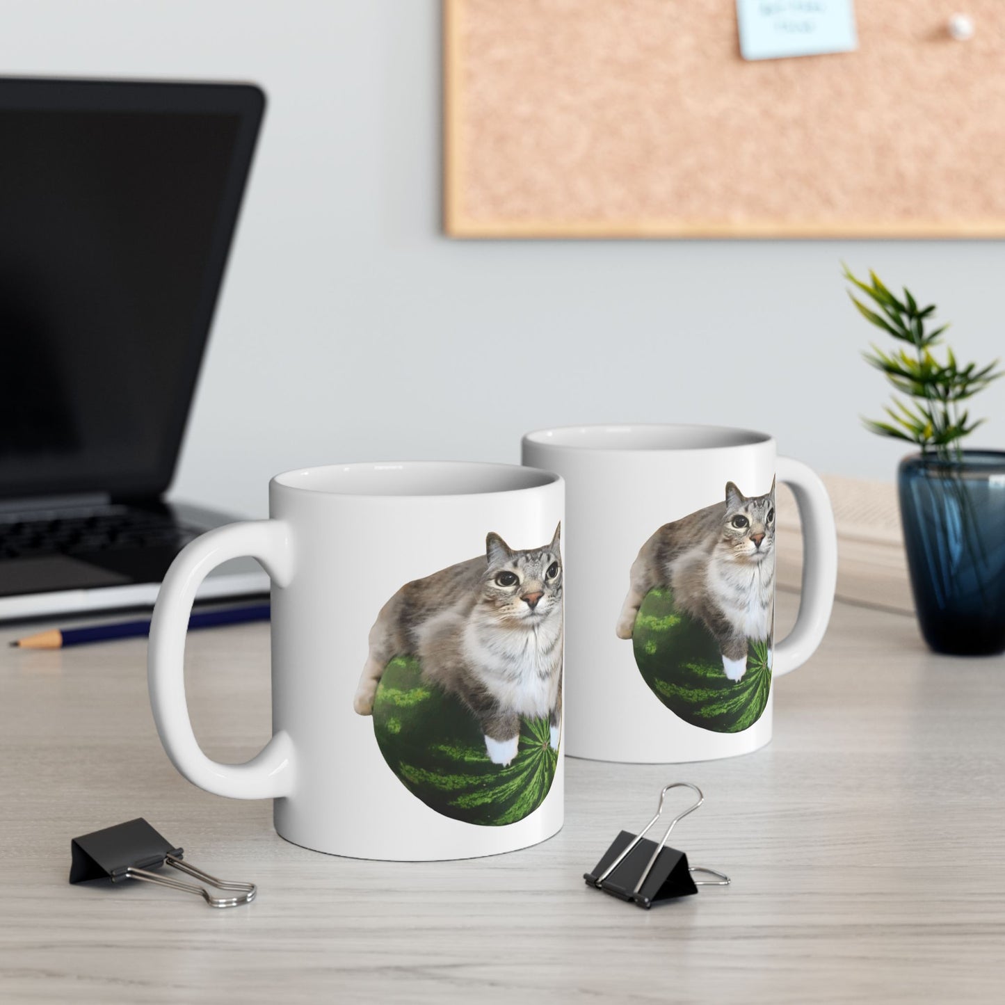 Watermelon Cat Meme Mug