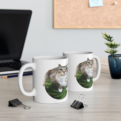 Watermelon Cat Meme Mug