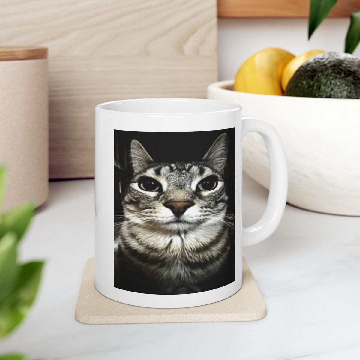 Silly Cat Meme Mug