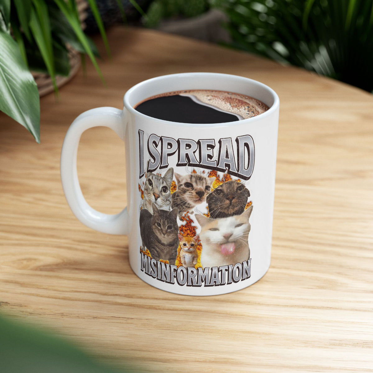 I Spread Misinformation Mug