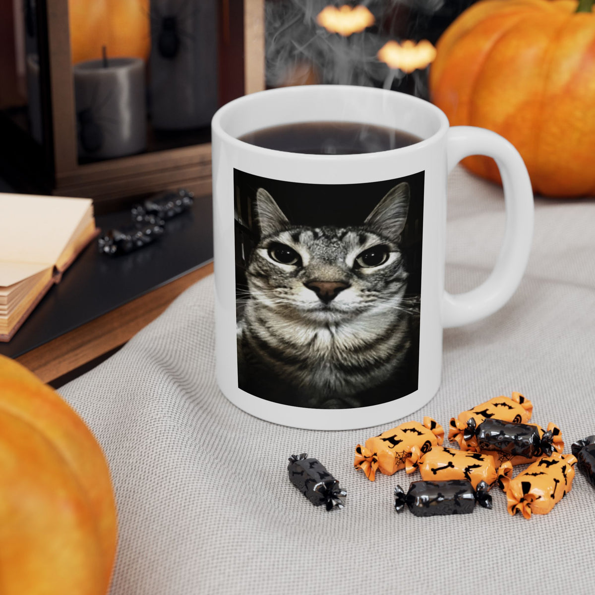 Silly Cat Meme Mug