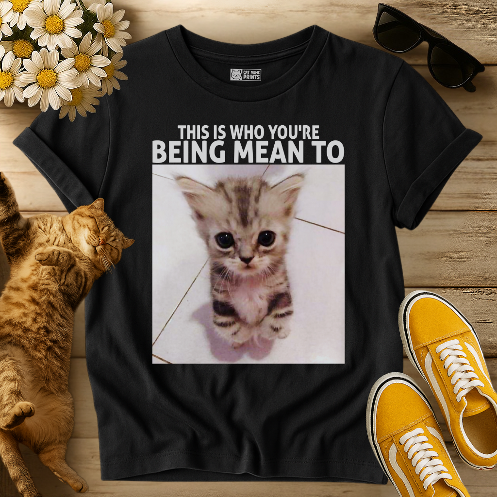 This Is Who You're Being Mean To T-Shirt