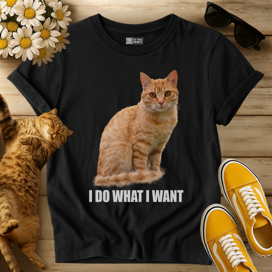 I Do What I Want T-Shirt
