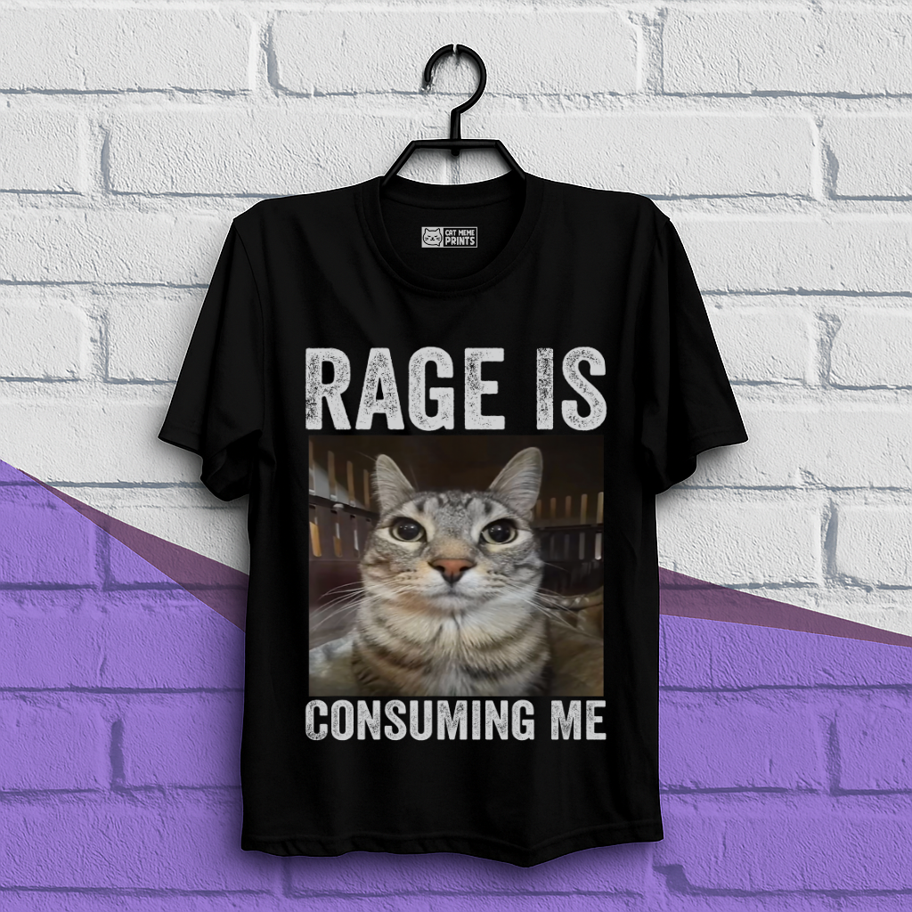 Rage is Consuming Me Cat Meme T-Shirt