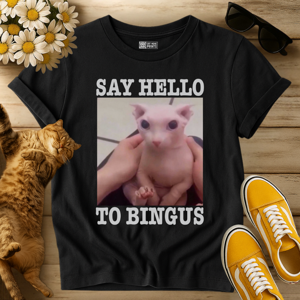Say Hello To Bingus T-Shirt