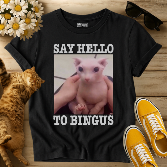 Say Hello To Bingus T-Shirt