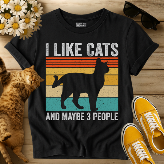 I Like Cats and Maybe 3 People T-Shirt