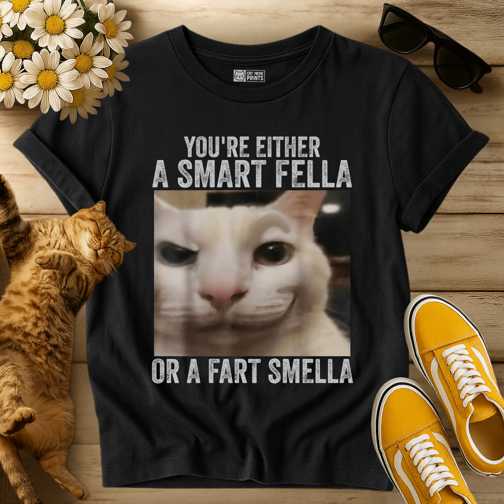 You're Either a Smart Fella T-Shirt