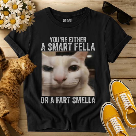 You're Either a Smart Fella T-Shirt