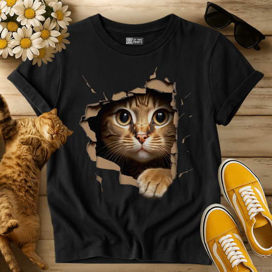 Cute Cat Looks From Torn Fabric T-Shirt