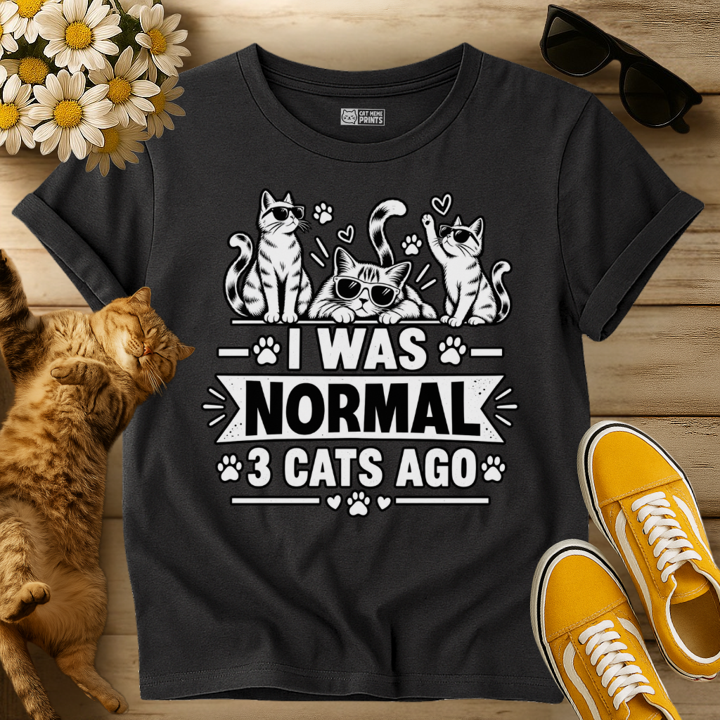 I Was Normal 3 Cats Ago T-Shirt