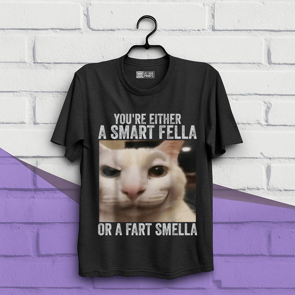 You're Either a Smart Fella or a Fart Smella T-Shirt