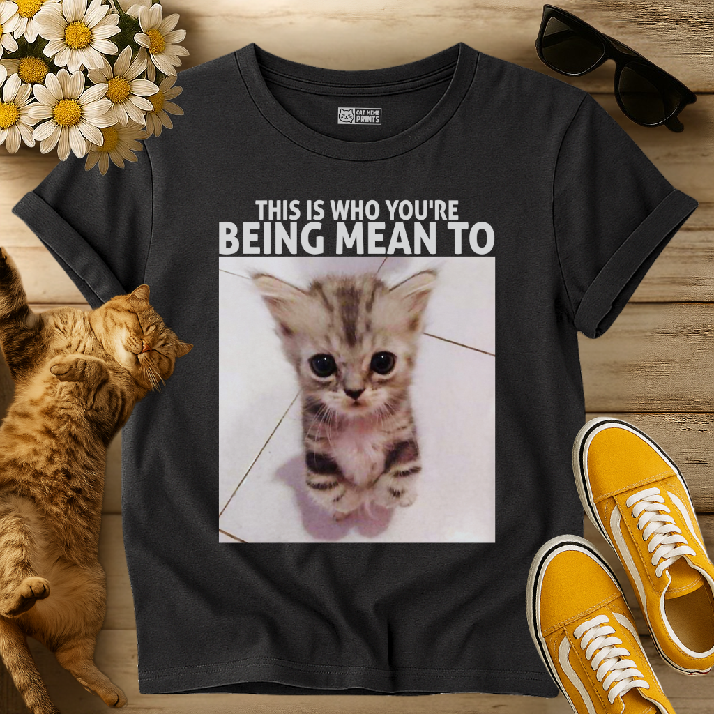 This Is Who You're Being Mean To T-Shirt