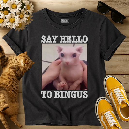 Say Hello To Bingus T-Shirt