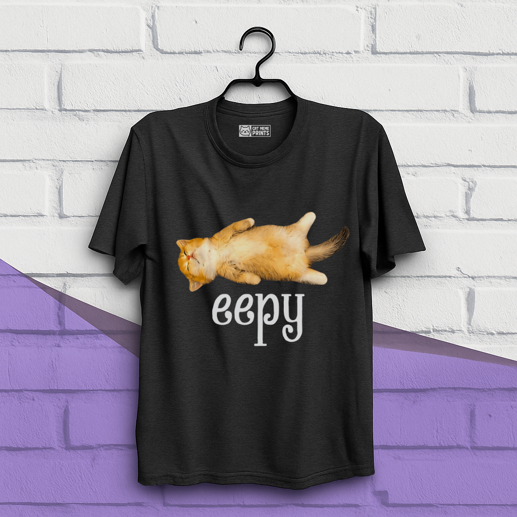 Eepy Cat Meme T-Shirt
