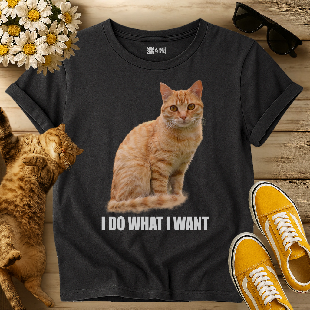 I Do What I Want T-Shirt