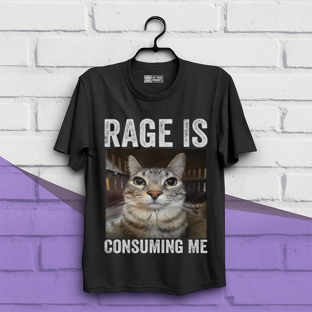 Rage is Consuming Me Cat Meme T-Shirt