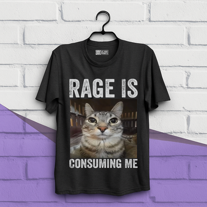 Rage is Consuming Me Cat Meme T-Shirt