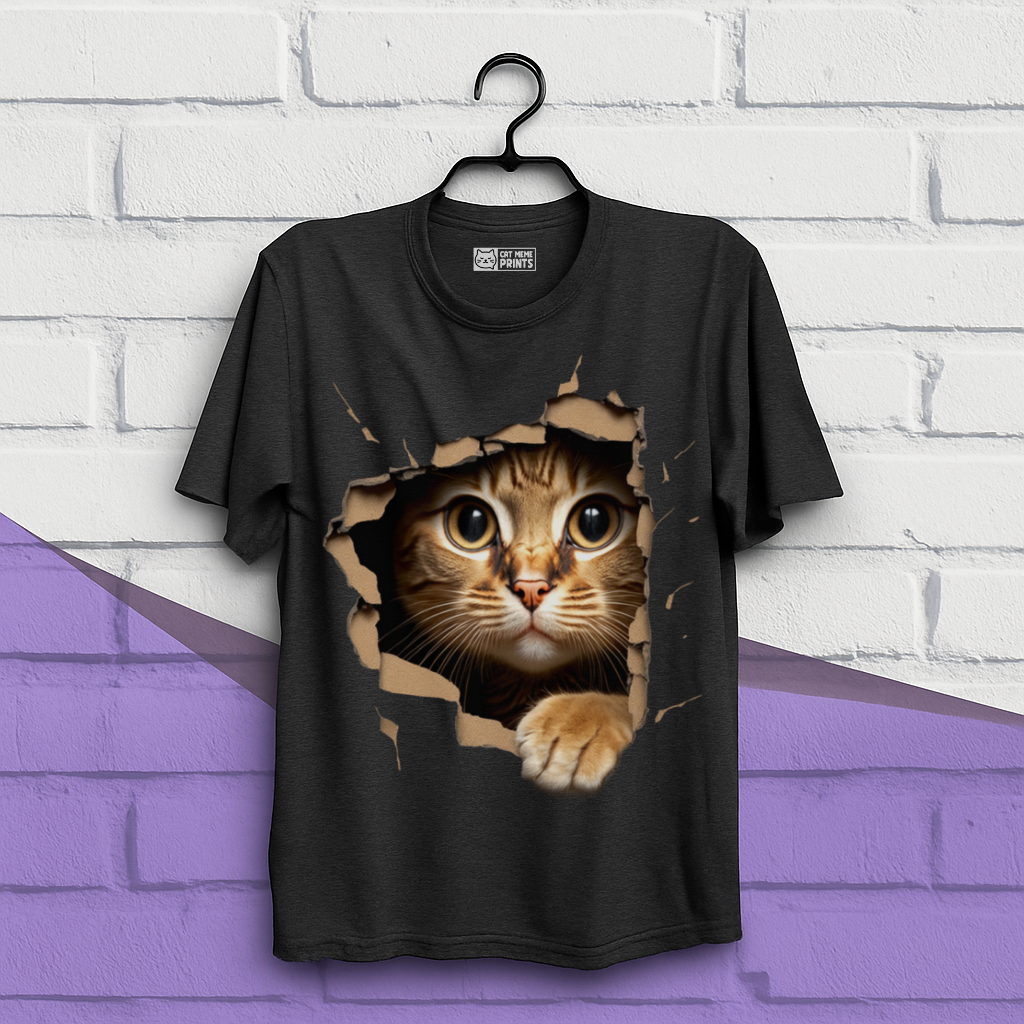 Cute Cat Looks From Torn Fabric T-Shirt