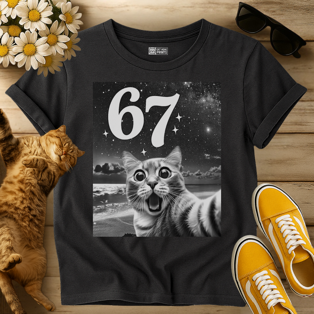 Cat Selfie with 67 Meme T-Shirt