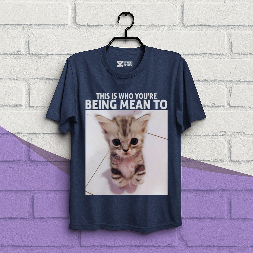 This Is Who You're Being Mean To T-Shirt