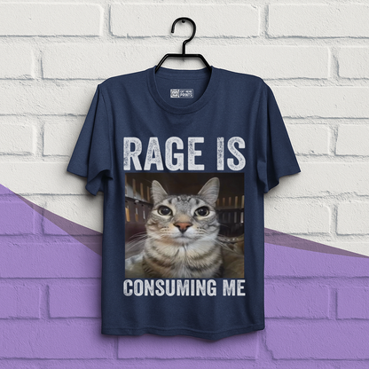Rage is Consuming Me Cat Meme T-Shirt