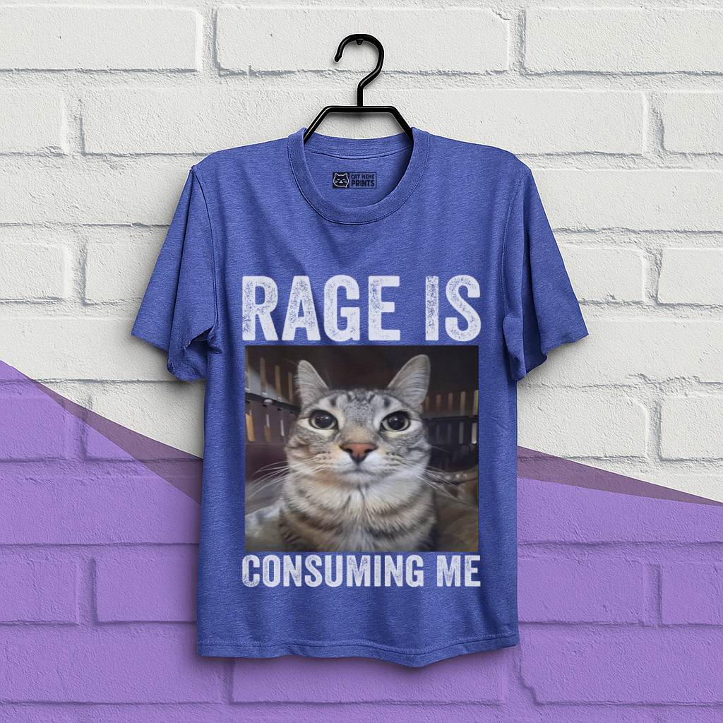Rage is Consuming Me Cat Meme T-Shirt