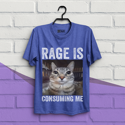 Rage is Consuming Me Cat Meme T-Shirt