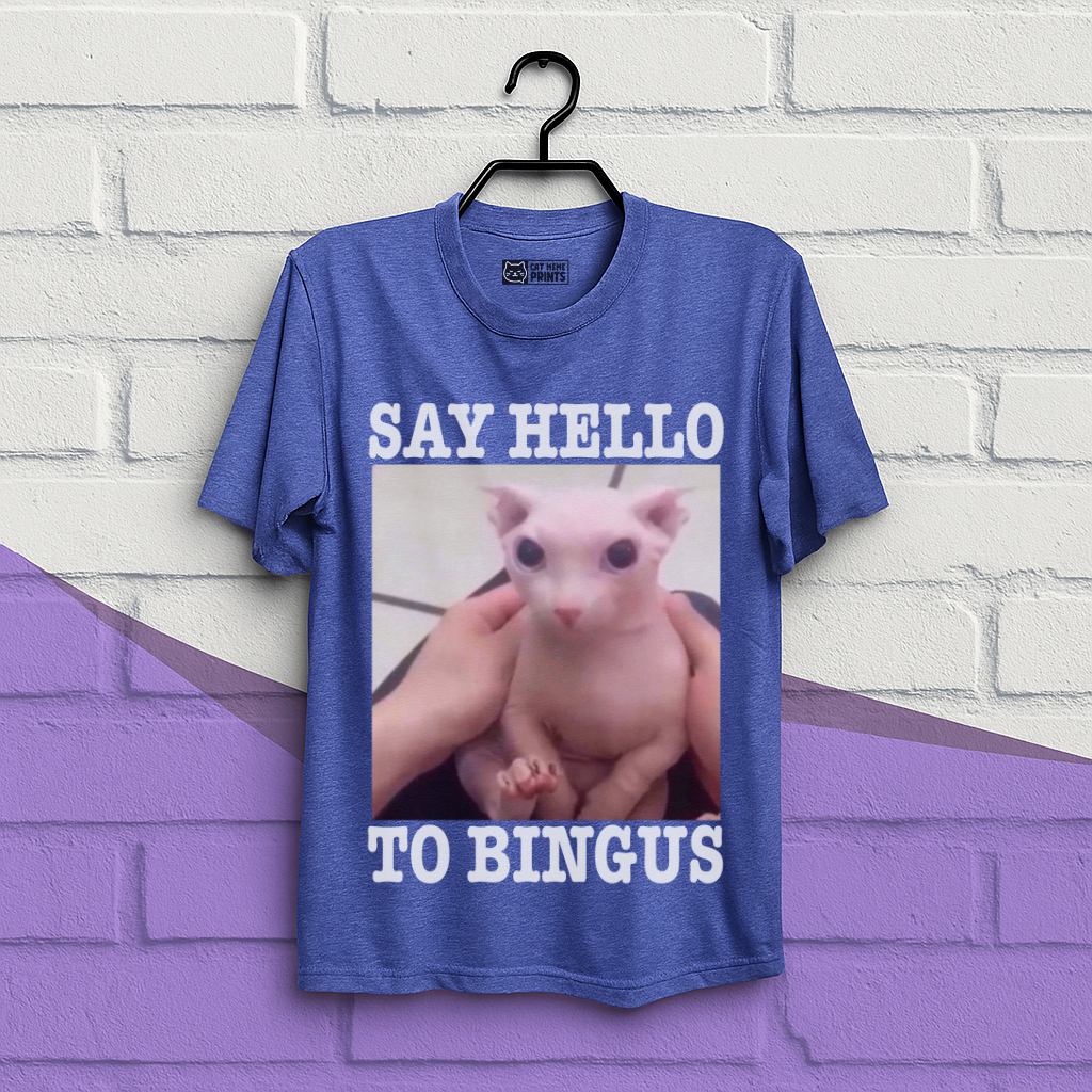 Say Hello To Bingus T-Shirt