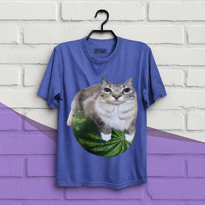 Watermelon Cat Meme T-Shirt