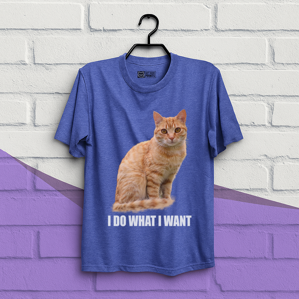 I Do What I Want T-Shirt