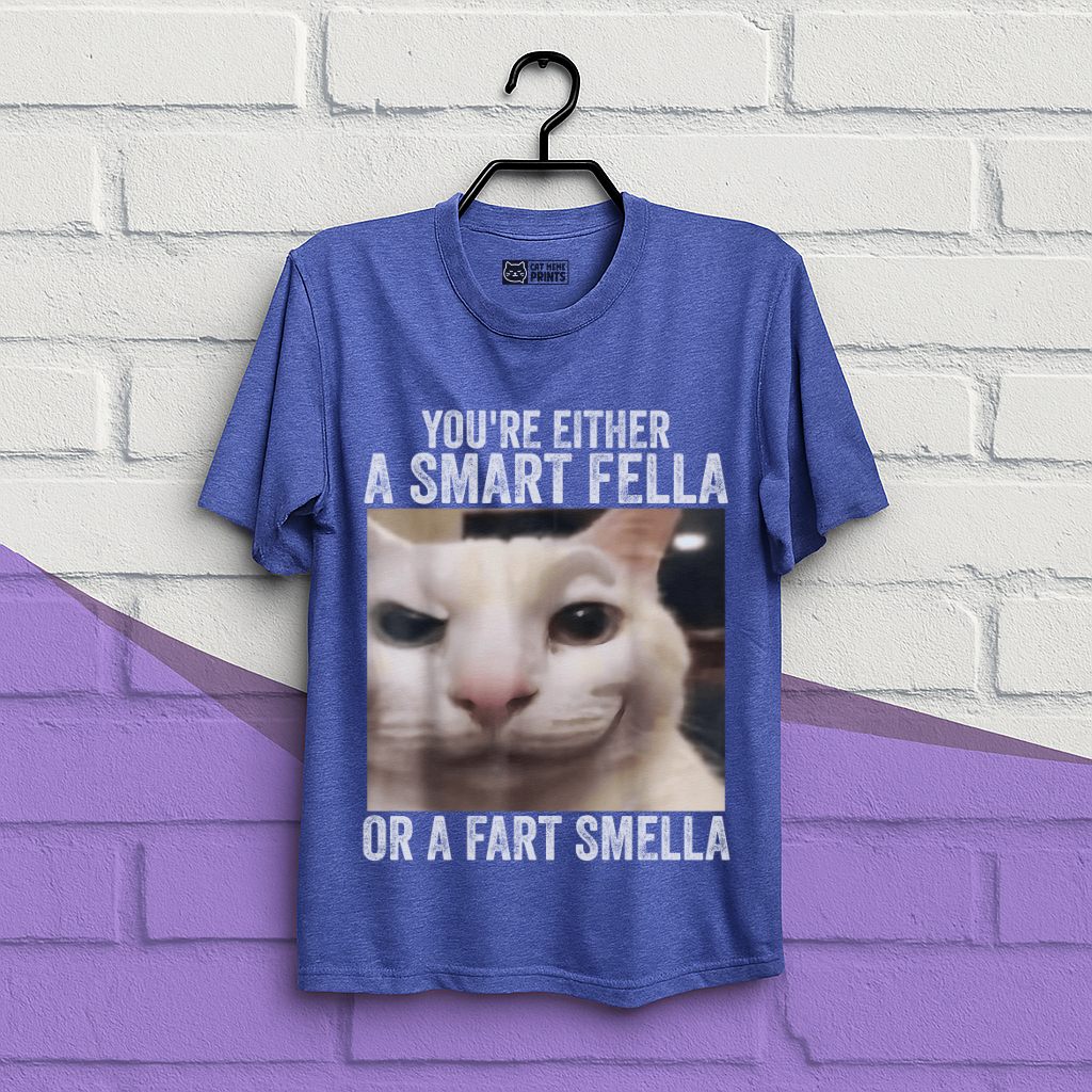 You're Either a Smart Fella or a Fart Smella T-Shirt