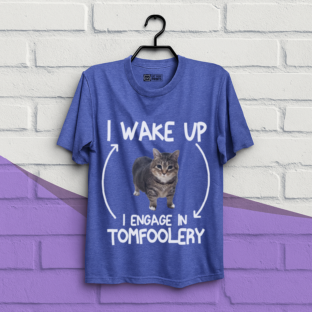 I Wake Up I Engage In Tomfoolery T-Shirt