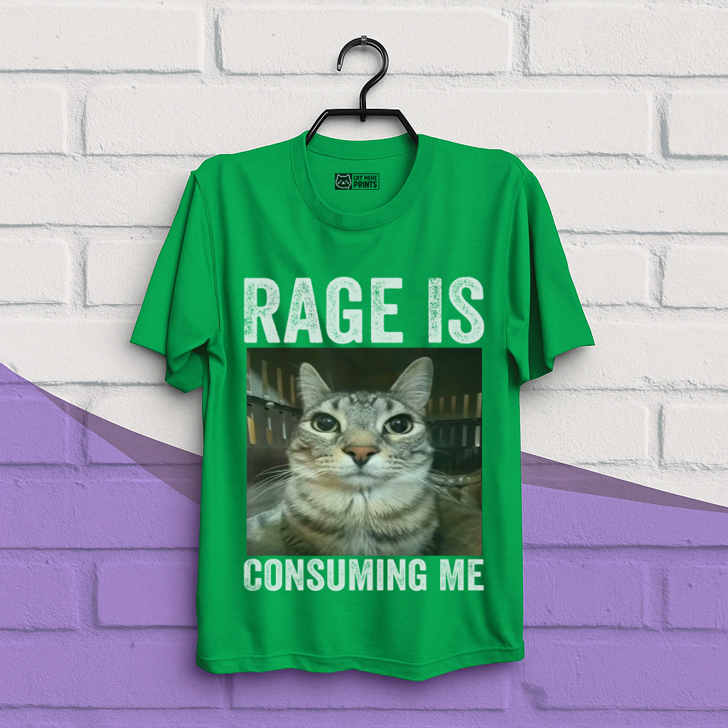 Rage is Consuming Me Cat Meme T-Shirt