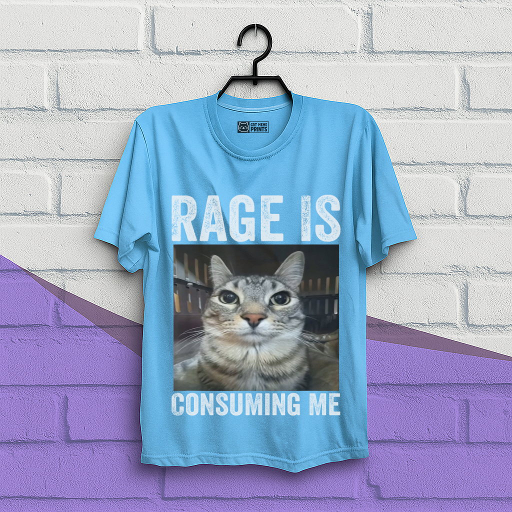 Rage is Consuming Me Cat Meme T-Shirt