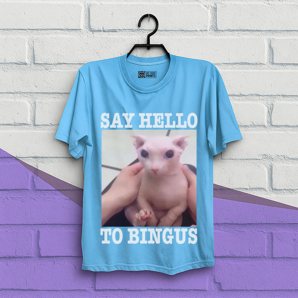 Say Hello To Bingus T-Shirt