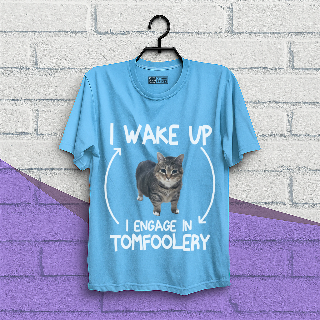 I Wake Up I Engage In Tomfoolery T-Shirt