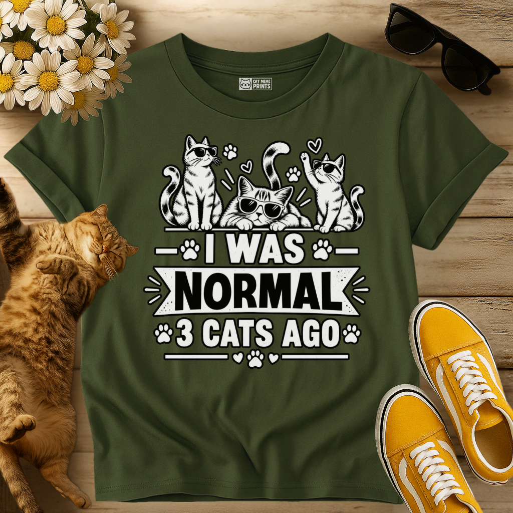 I Was Normal 3 Cats Ago T-Shirt
