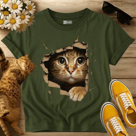 Cute Cat Looks From Torn Fabric T-Shirt