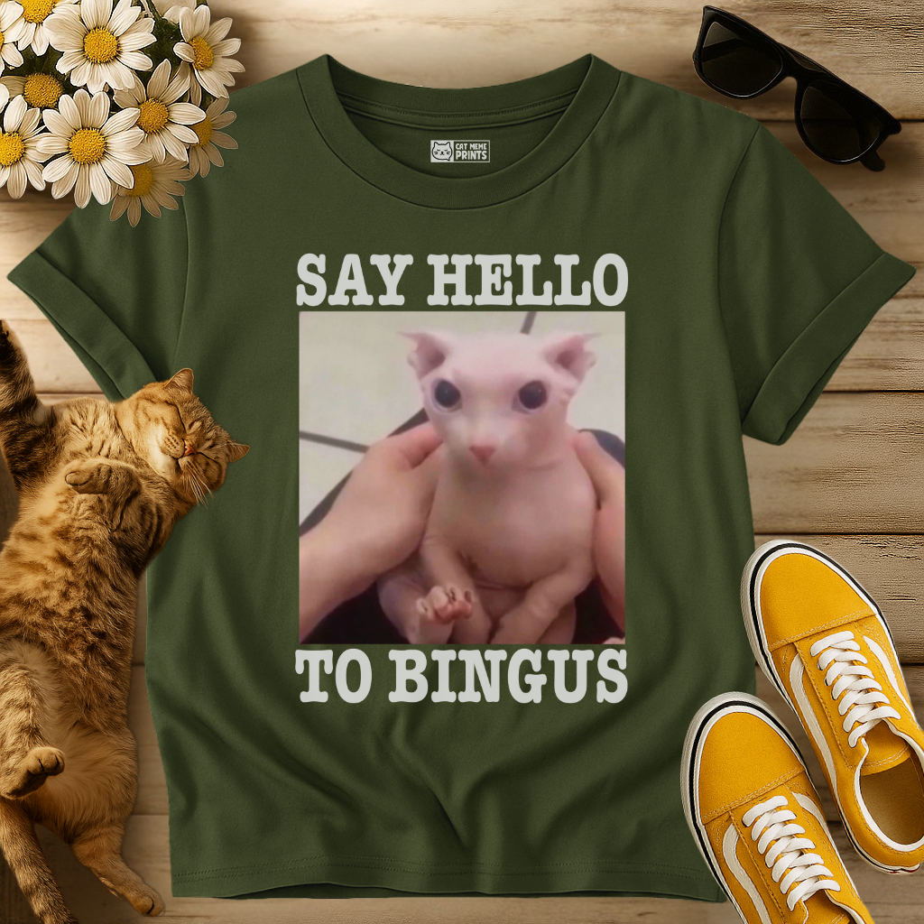 Say Hello To Bingus T-Shirt