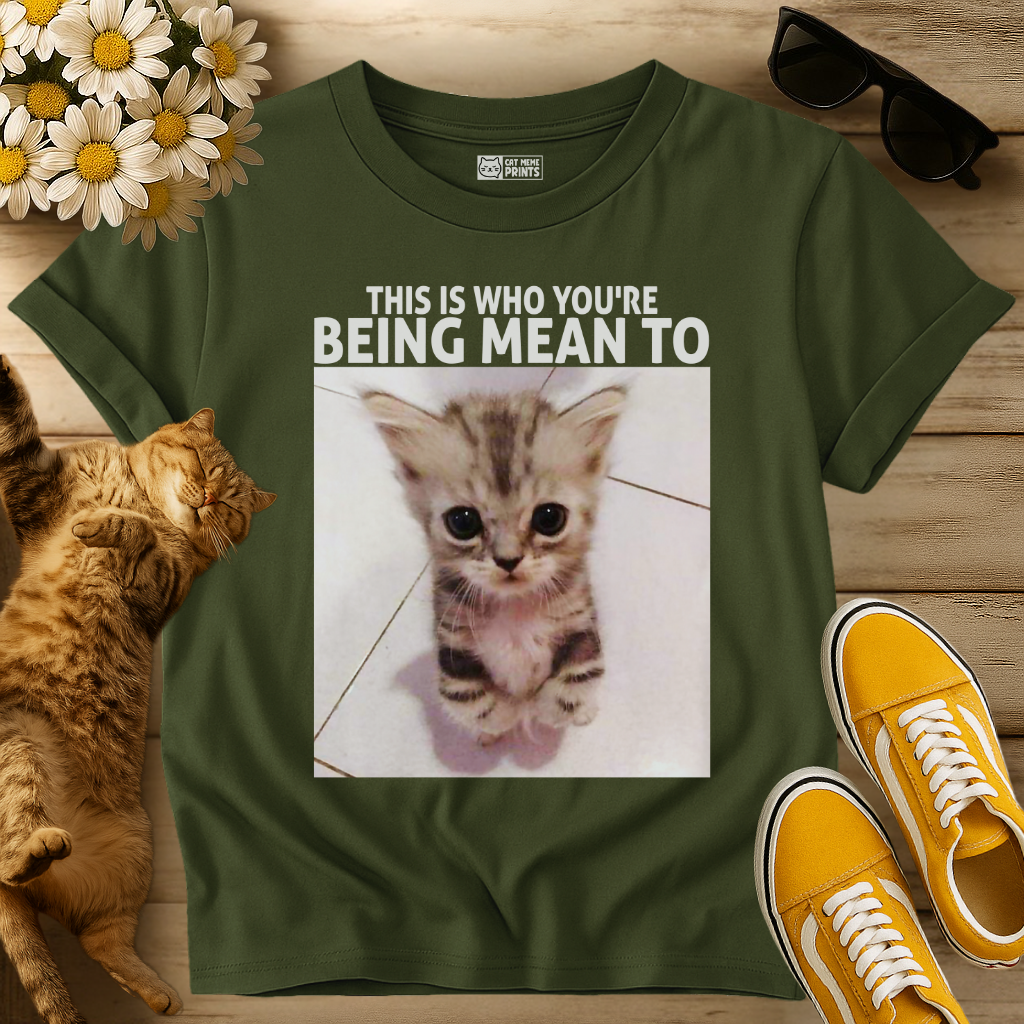 This Is Who You're Being Mean To T-Shirt