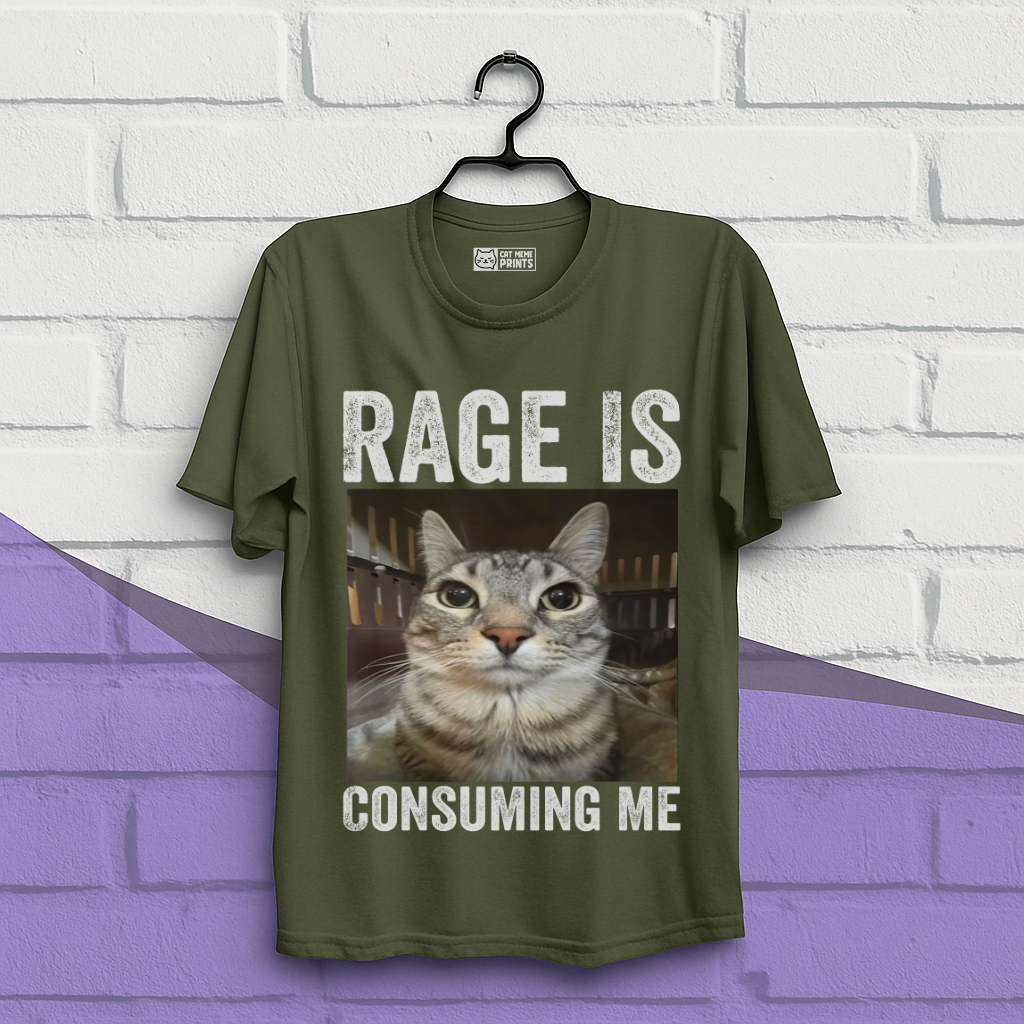 Rage is Consuming Me Cat Meme T-Shirt