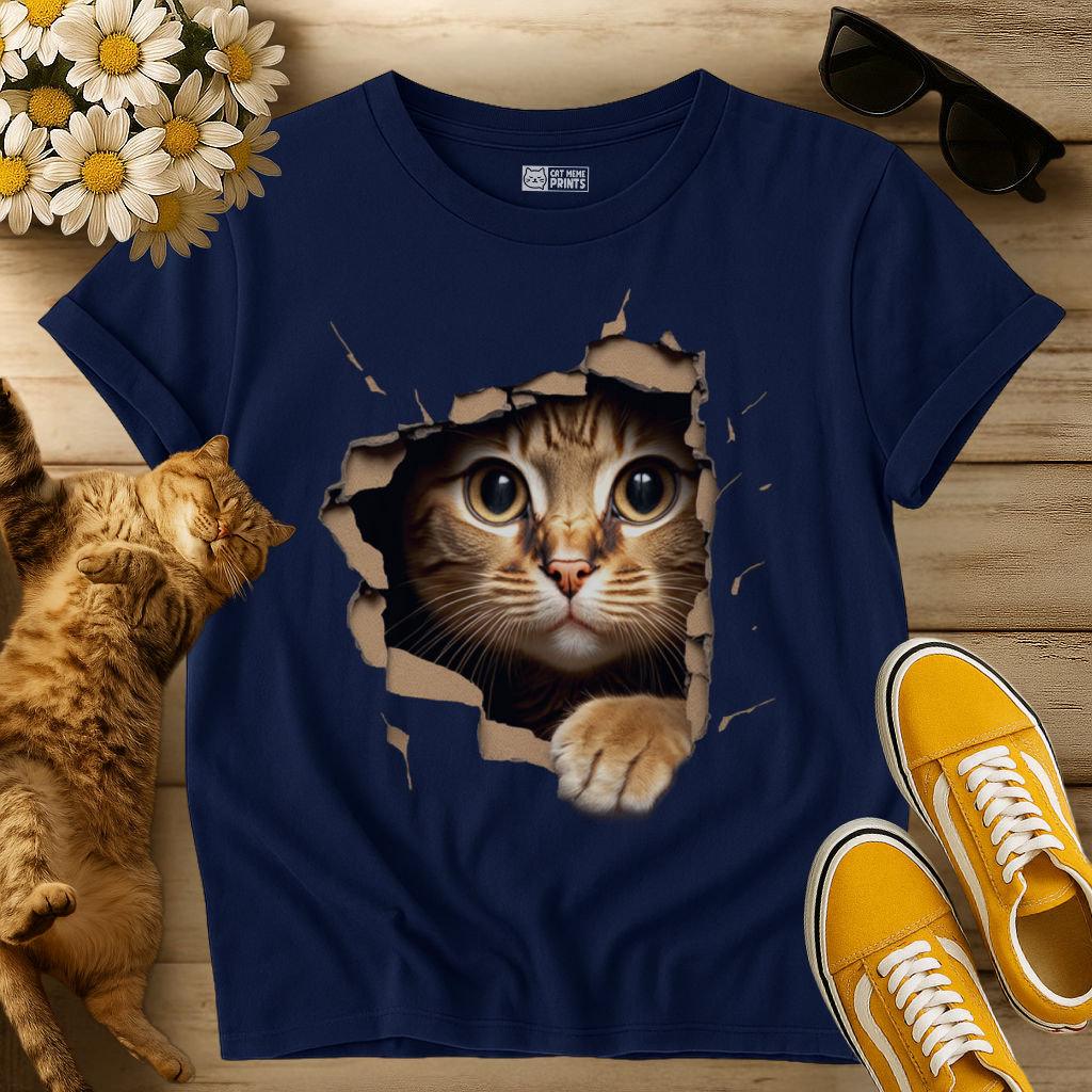 Cute Cat Looks From Torn Fabric T-Shirt