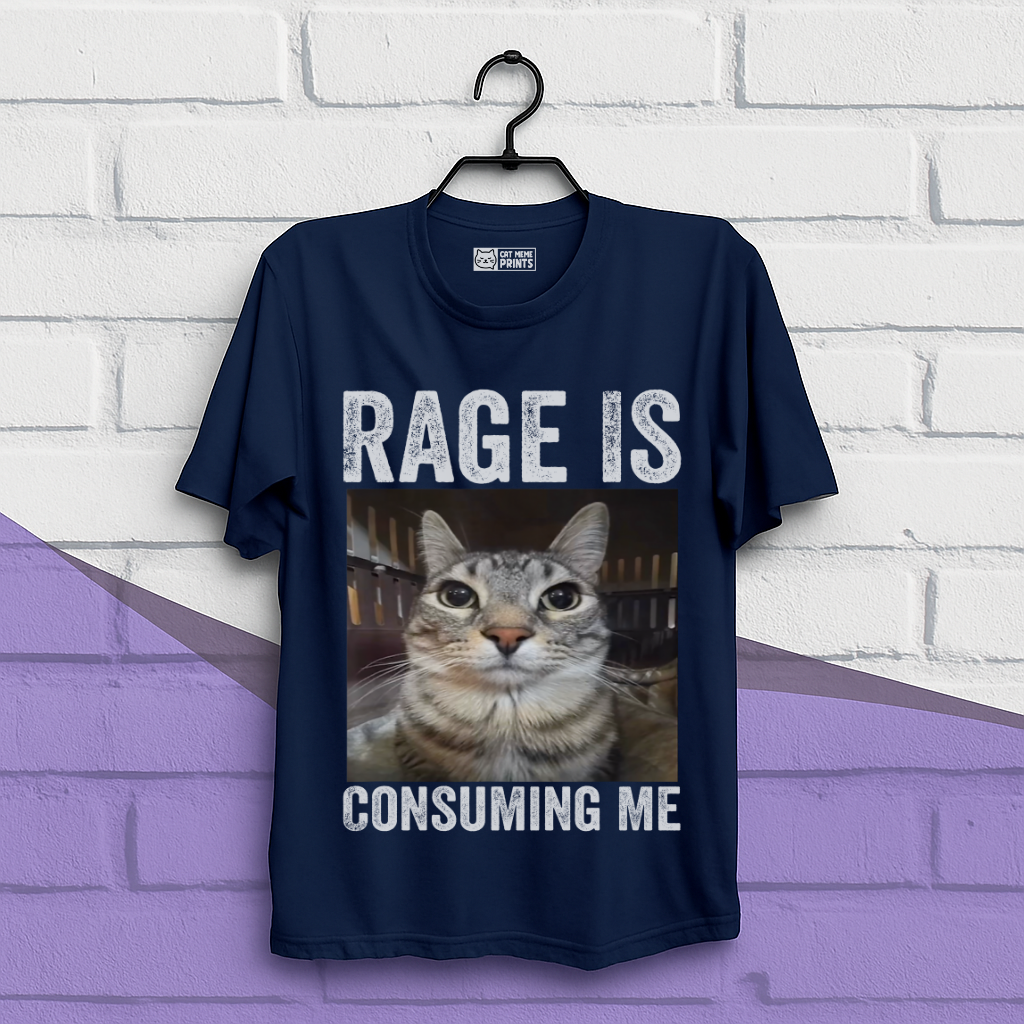 Rage is Consuming Me Cat Meme T-Shirt