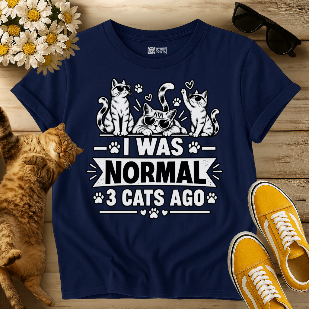 I Was Normal 3 Cats Ago T-Shirt