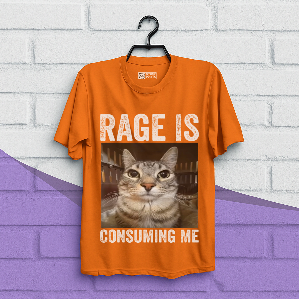 Rage is Consuming Me Cat Meme T-Shirt