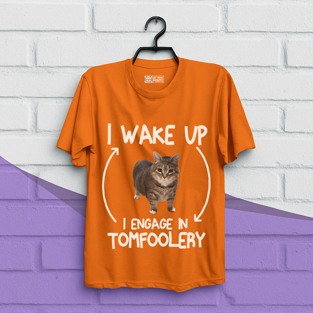 I Wake Up I Engage In Tomfoolery T-Shirt