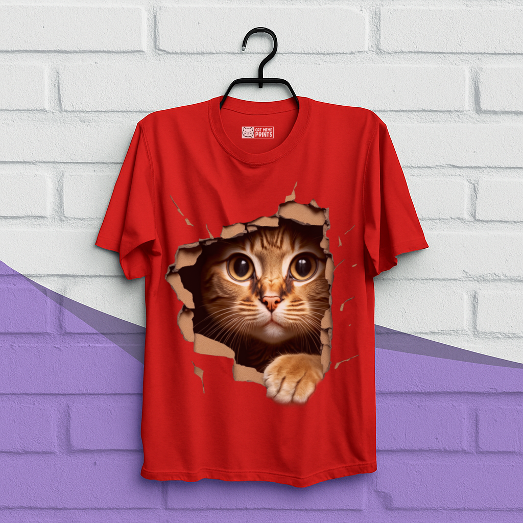 Cute Cat Looks From Torn Fabric T-Shirt